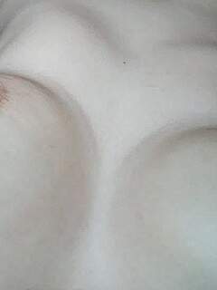 photo gallery id 167949