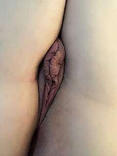photo gallery id 170720