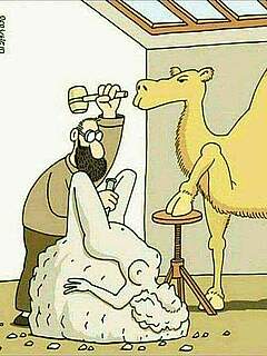 photo gallery id 172405