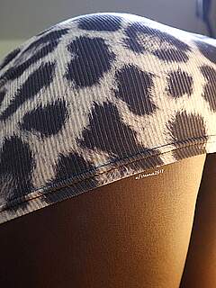 photo gallery id 174083