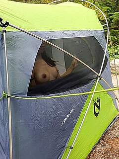 photo gallery id 178339