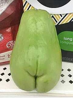 photo gallery id 178404