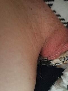 photo gallery id 181547