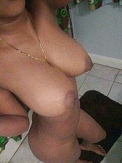 photo gallery id 183504