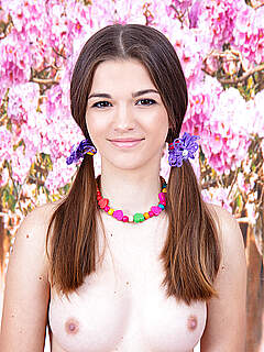 photo gallery id 187202