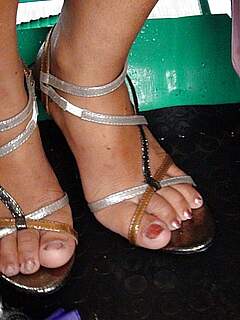 photo gallery id 203029