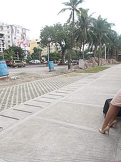 photo gallery id 203754