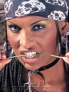 photo gallery id 205352