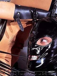 photo gallery id 205666