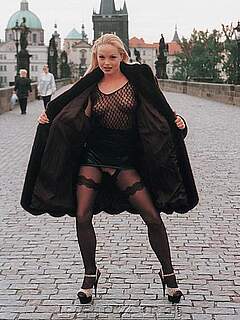 photo gallery id 205957