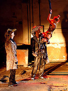 photo gallery id 206233