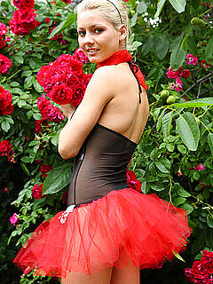 photo gallery id 211200