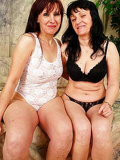 photo gallery id 232871