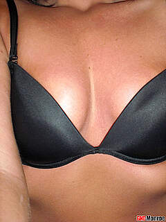 photo gallery id 233751