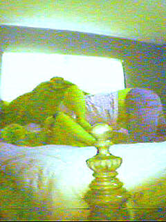 photo gallery id 234635