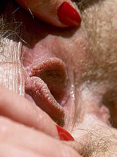 photo gallery id 235573