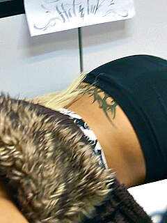 photo gallery id 235921