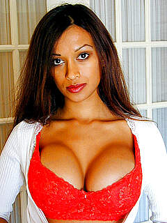 photo gallery id 236391