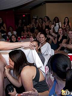 photo gallery id 237466