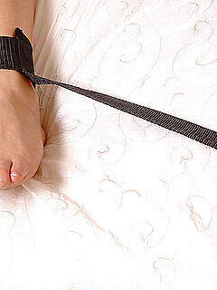 photo gallery id 237525