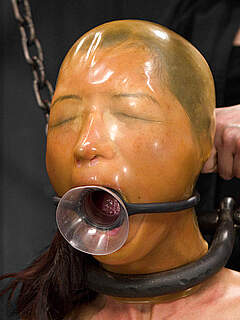 photo gallery id 239326