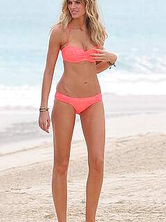 photo gallery id 239388