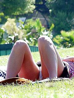 photo gallery id 239979