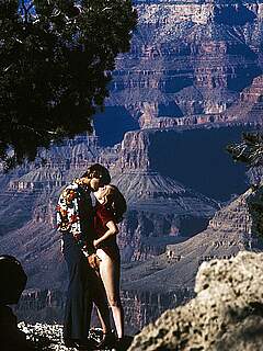 photo gallery id 240980