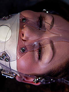 photo gallery id 242903