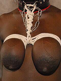 photo gallery id 242913