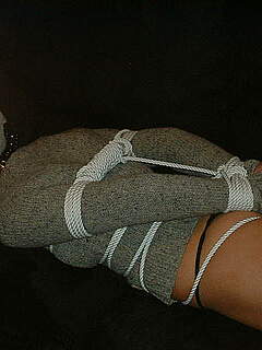 photo gallery id 242918