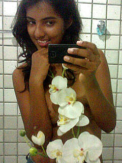 photo gallery id 244869