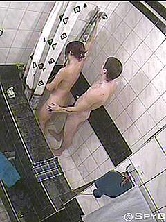 photo gallery id 245421