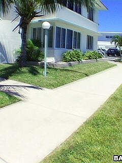 photo gallery id 246996