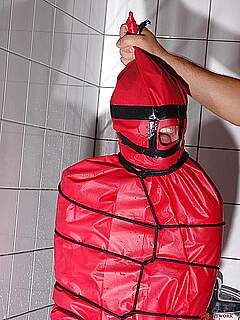 photo gallery id 247343