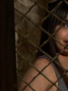 photo gallery id 249427