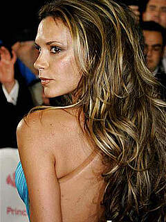 photo gallery id 249771