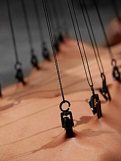 photo gallery id 252186