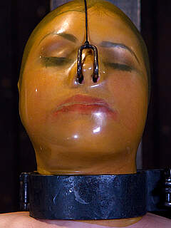 photo gallery id 253270