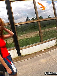 photo gallery id 253546