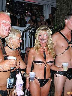 photo gallery id 253550