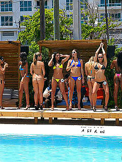 photo gallery id 253598