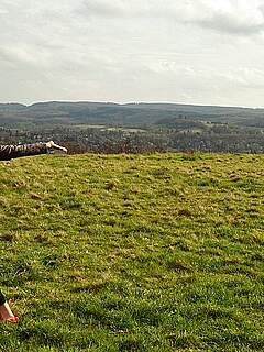 photo gallery id 254283