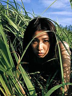 photo gallery id 254997