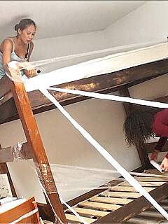 photo gallery id 255056