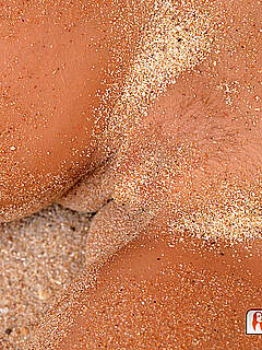 photo gallery id 255601