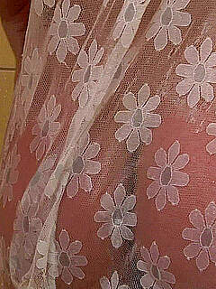 photo gallery id 256149