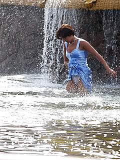 photo gallery id 257544