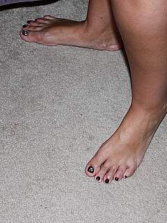 photo gallery id 258771