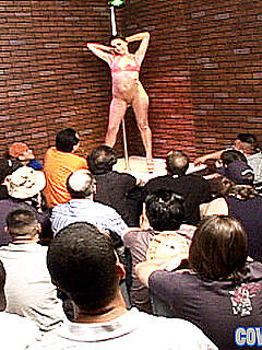 photo gallery id 259180